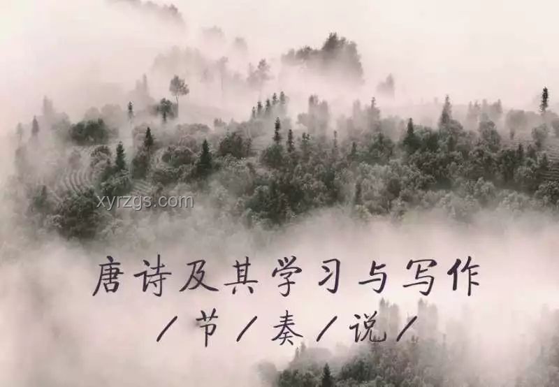 雨夜悲歌启新思：退休教授失足后的创新警示